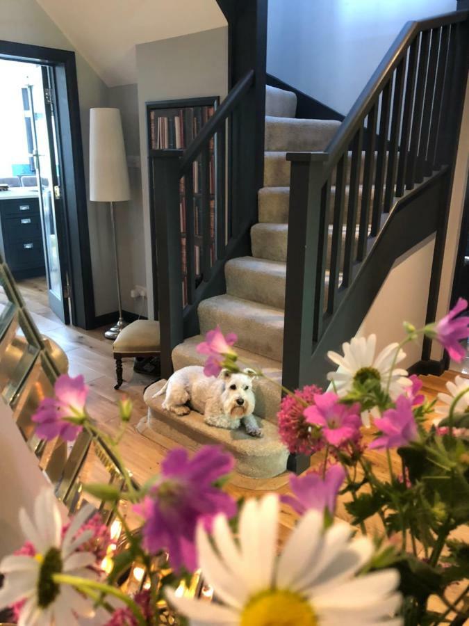 The Niche Bed & Breakfast Eastbourne Luaran gambar